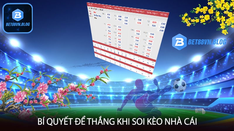 Bí quyết để thắng khi soi kèo nhà cái